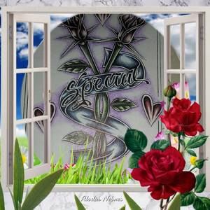 Meet your Posher, Renee